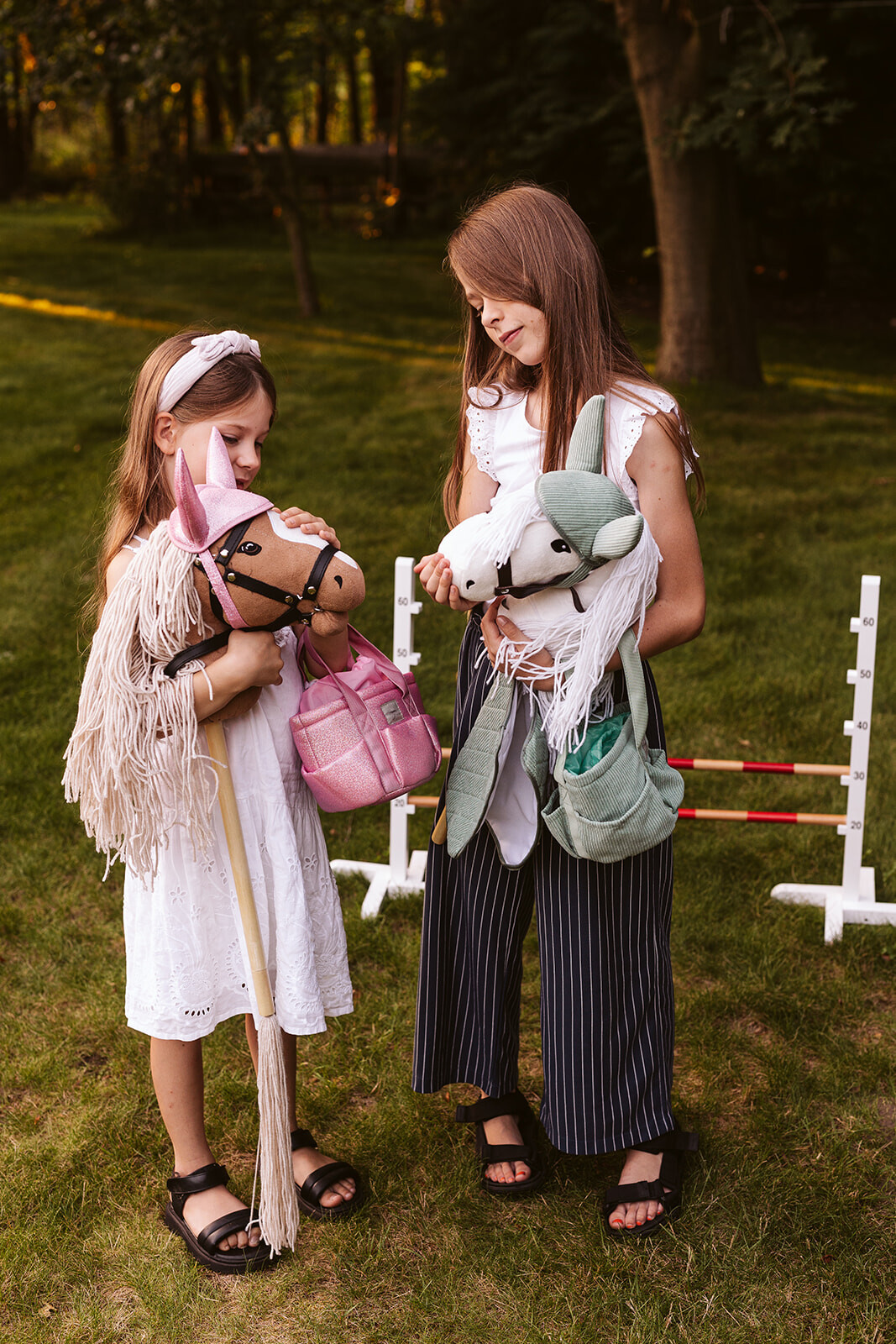 Poetstas voor Hobby Horse verzorging Roze