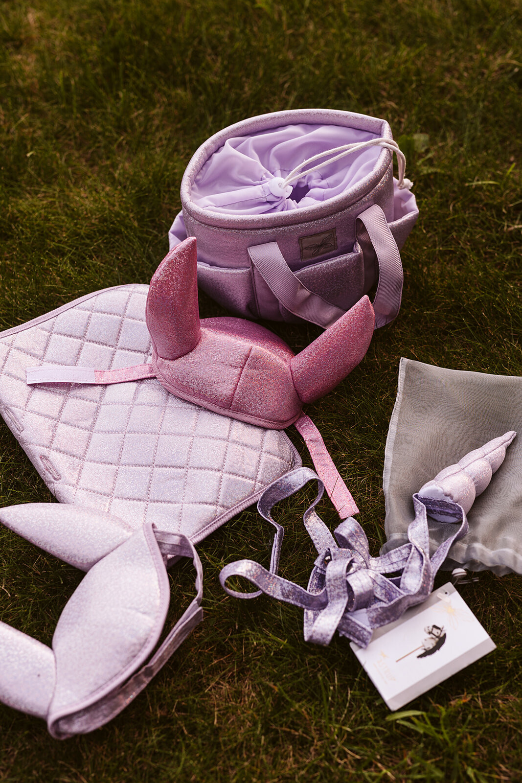Poetstas voor Hobby Horse verzorging Lila