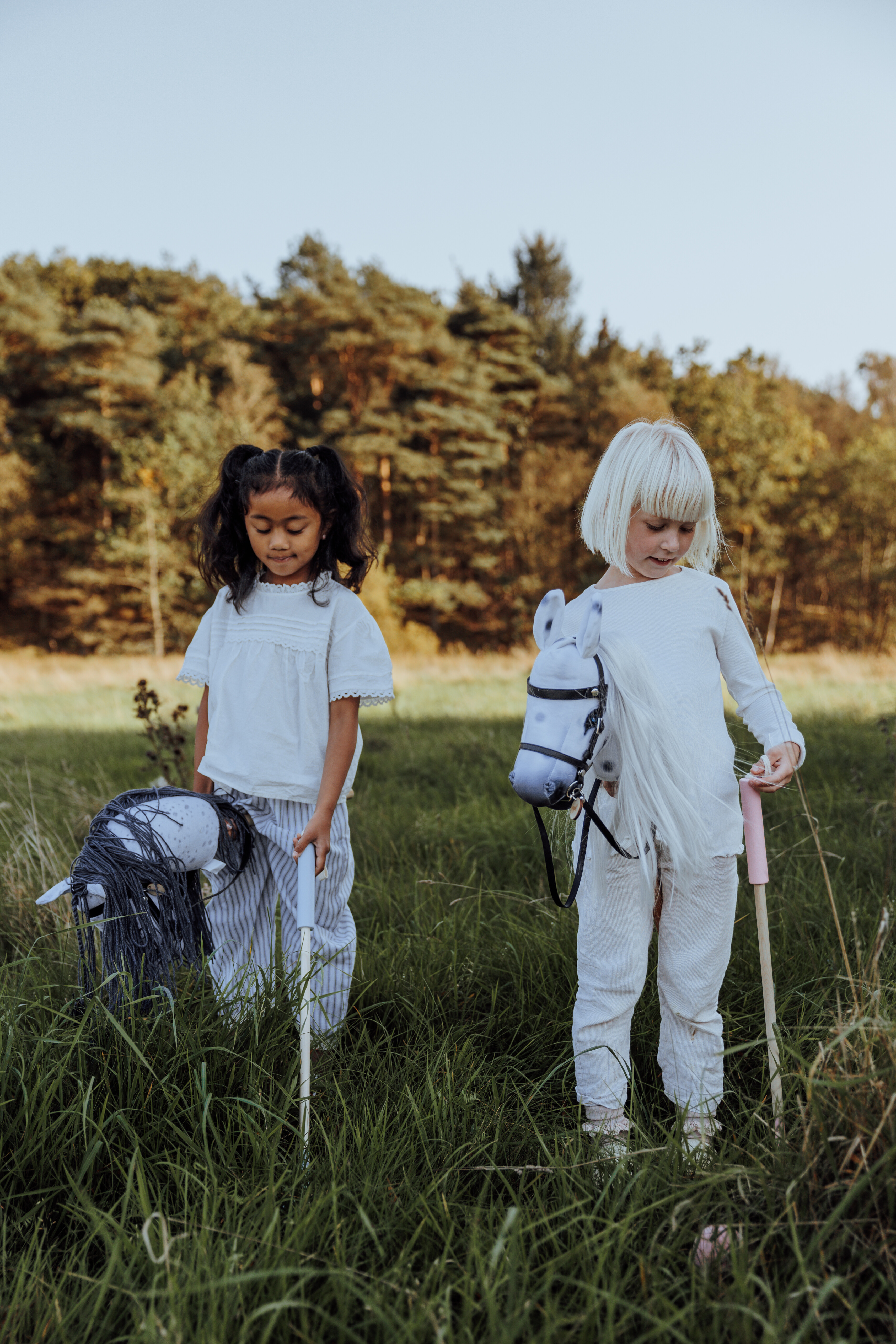 Polo spel voor Hobby Horse