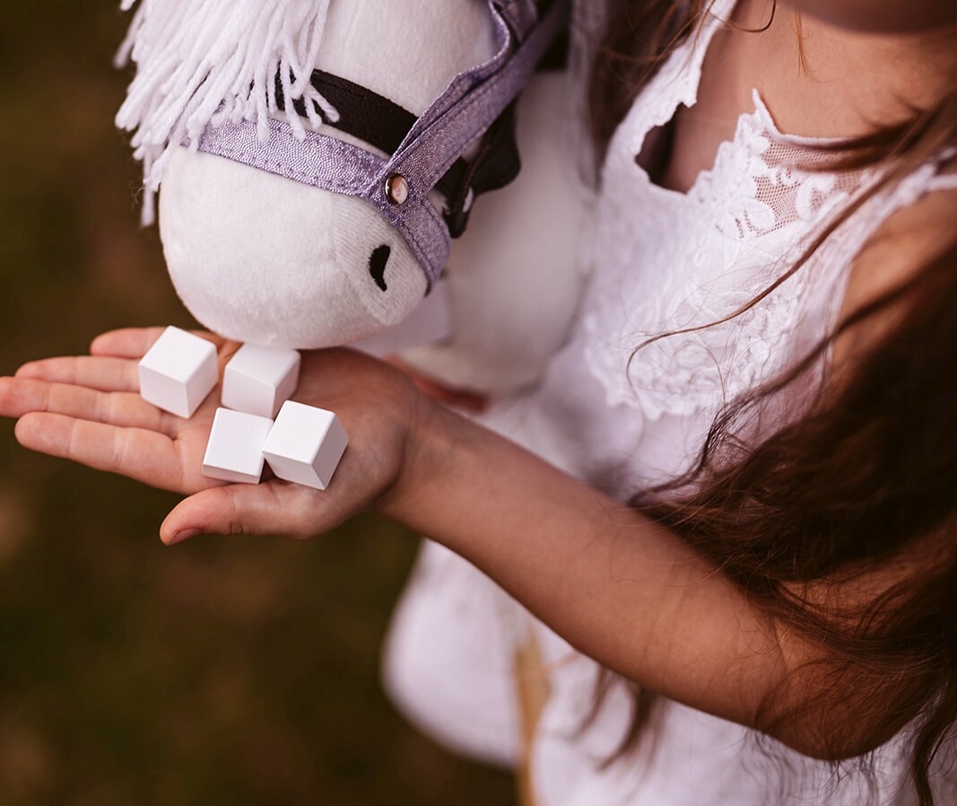 Unicorn hoorn en halster lila