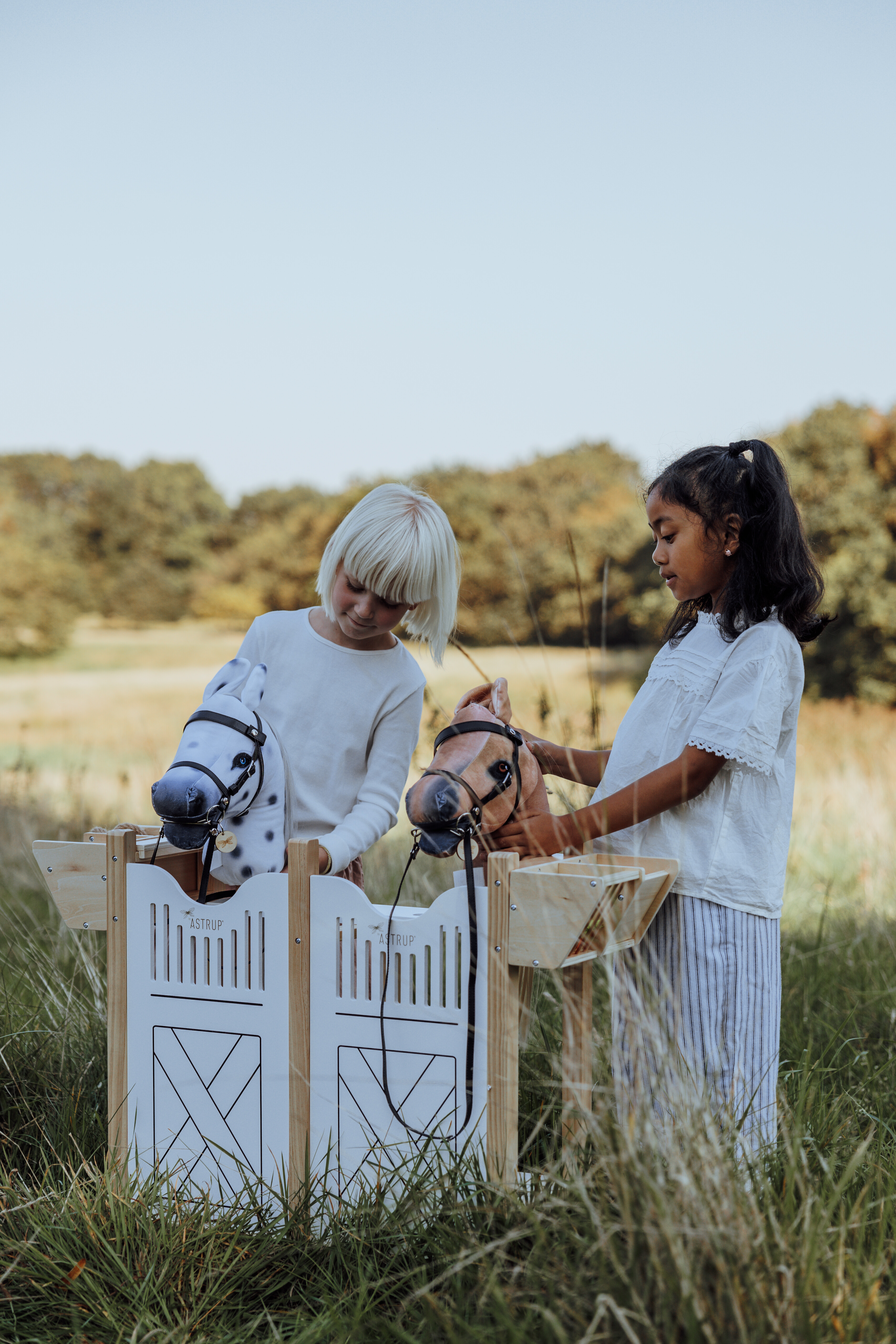 Paardenbox voor 4 stokpaarden / Hobby horse