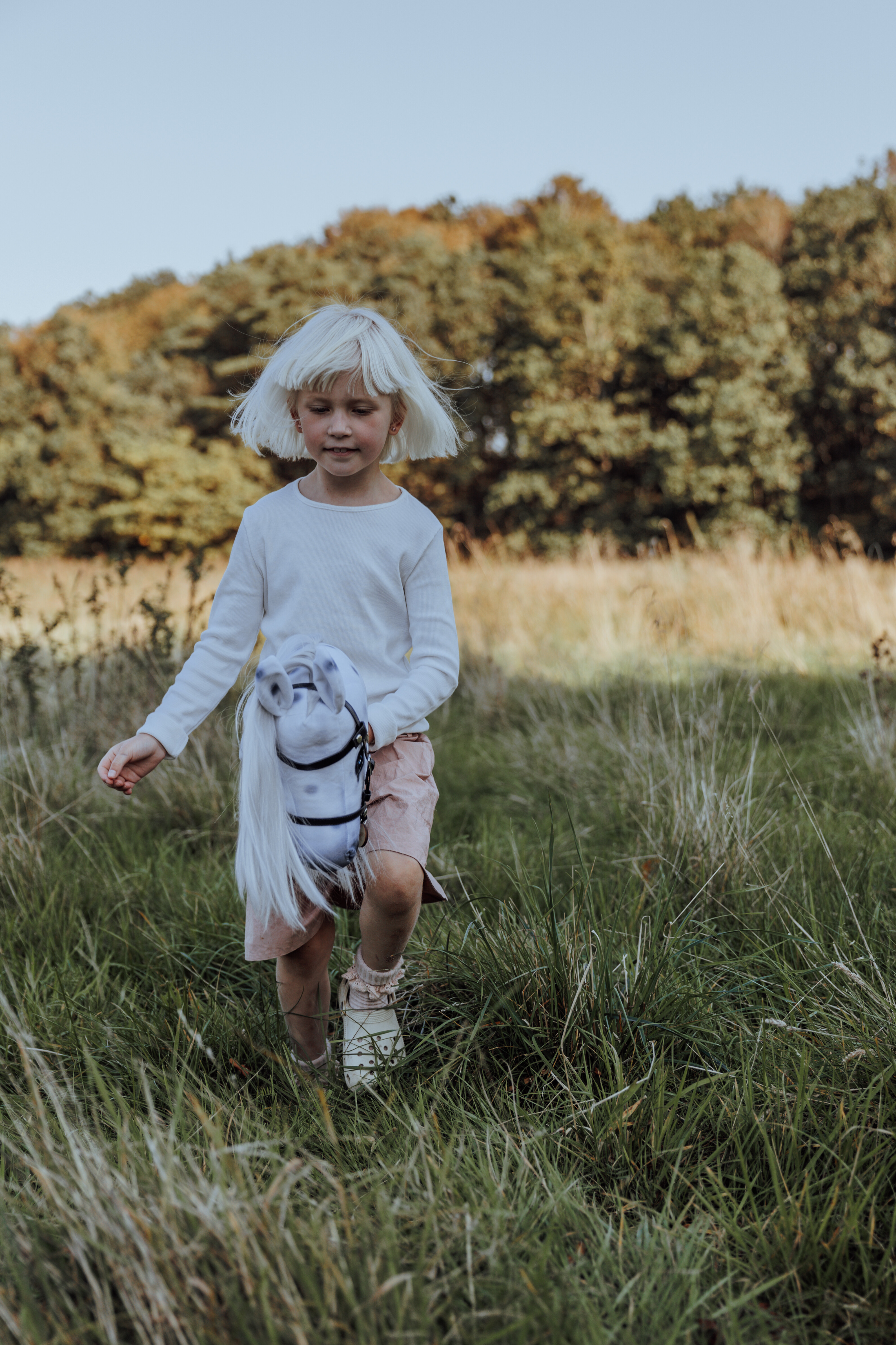Hobby Horse Lipizzaner Wit / Gestippeld
