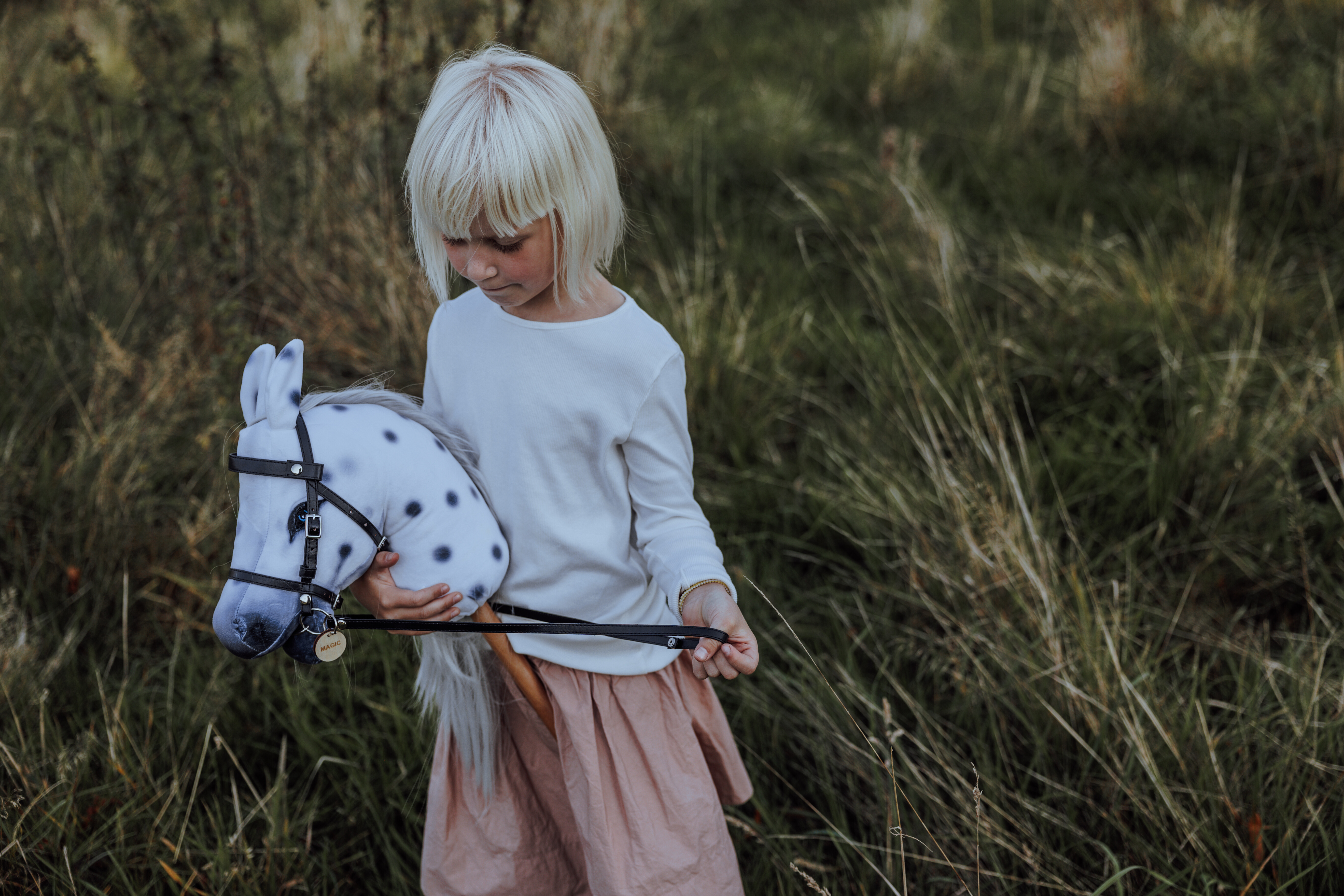 Hobby Horse Lipizzaner Wit / Gestippeld