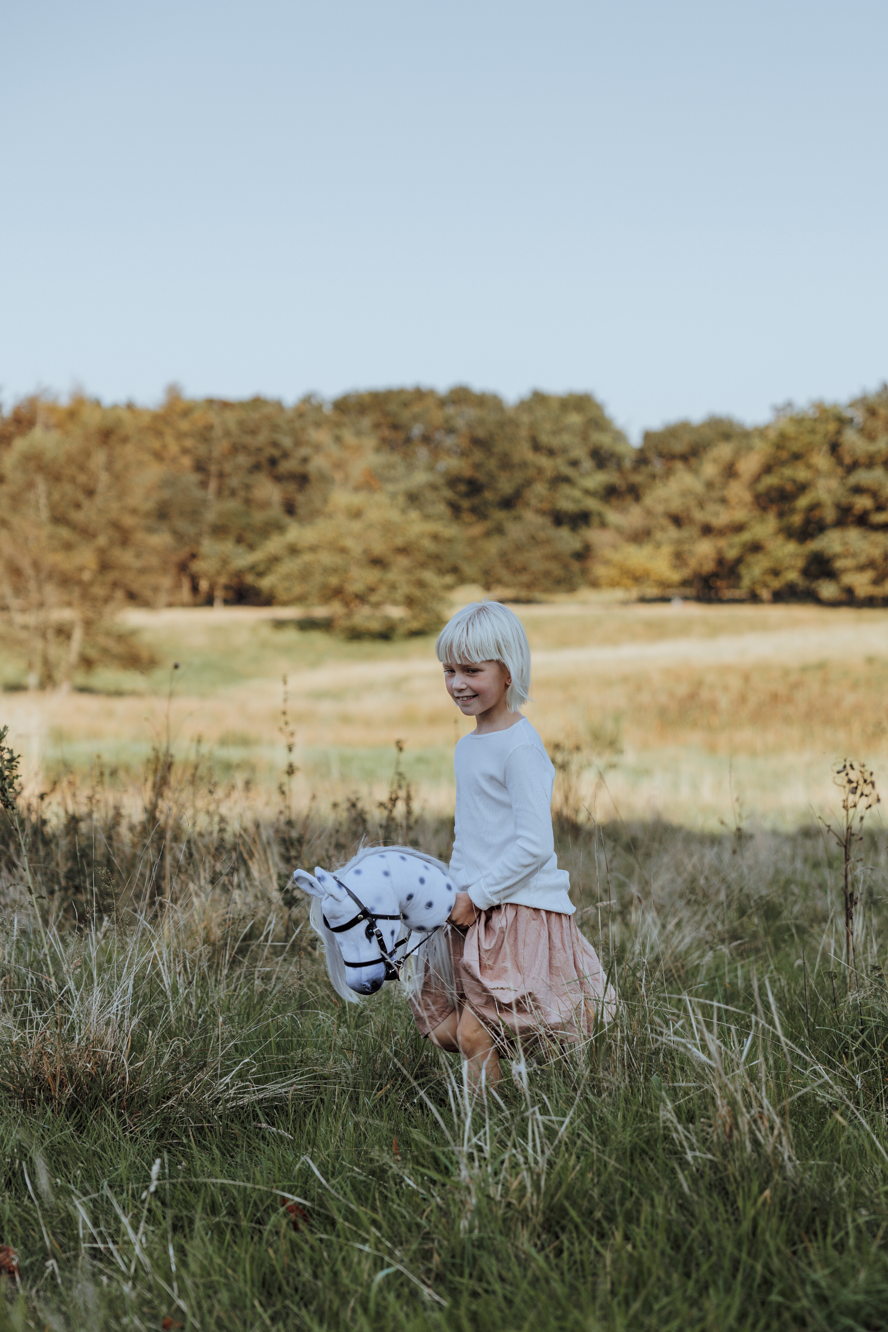 Hobby Horse Lipizzaner Wit / Gestippeld